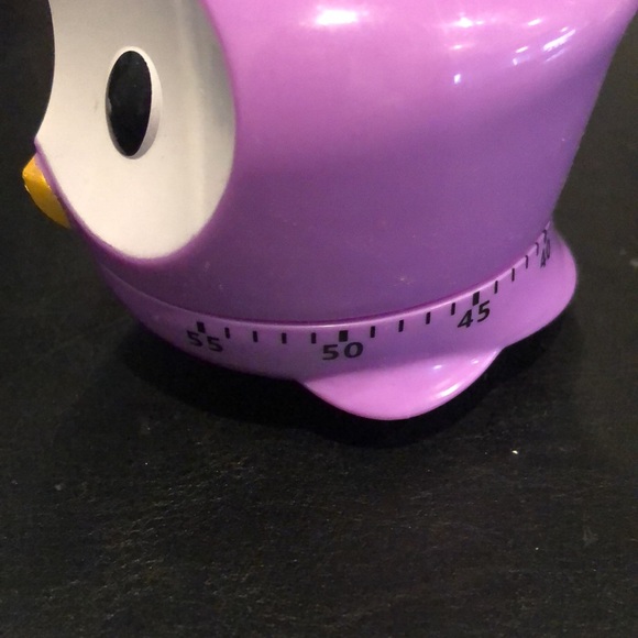 🦉 Timer - Picture 5 of 6